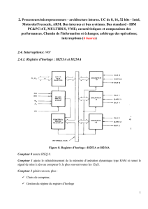 Processeurs/microprocesseurs