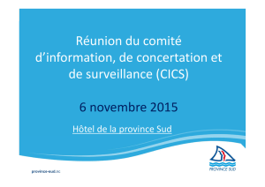 7eme réunion du CICS - 06 novembre 2015