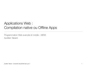 Applications Web : Compilation native ou Offline