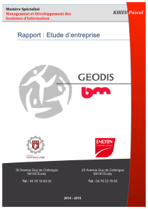 Rapport Etude entreprise GEODIS BM - Pascal KHIEU - E