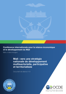 Mali : vers une stratégie nationale de développement