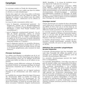 Caryotype - Laboratoire CERBA