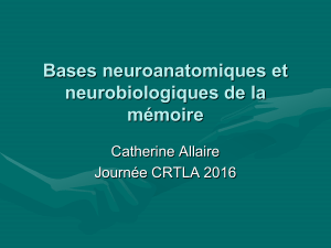 Mémoires : bases neuroanatomiques et neurobiologiques