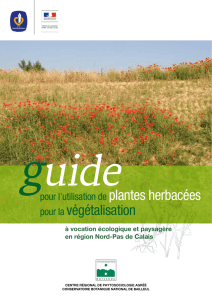 Guide sur l`usage de plantes herbacées