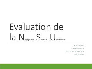 Evaluation - AVC Normandie
