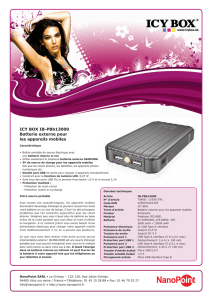 ICY BOX IB-PBb13000 Batterie externe pour les