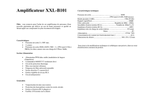 Amplificateur XXL-B101