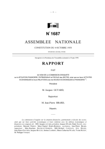 en format PDF - Assemblée nationale