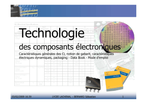 Technologie des circuit intégrés (composants)