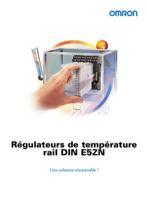 Régulateurs de température rail DIN E5ZN