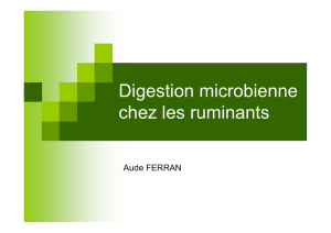 La digestion microbienne chez les Ruminants : Diaporama 2010