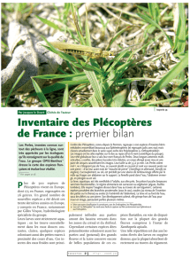 Inventaire des Plécoptères de France