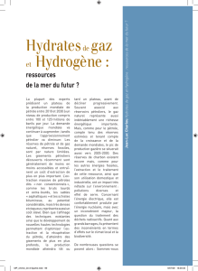 Hydrates de gaz et Hydrogène : ressources de la mer du futur