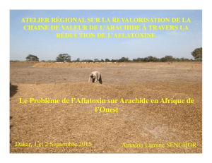 Le Problème de l`Aflatoxin sur Arachide en Afrique de l`Ouest