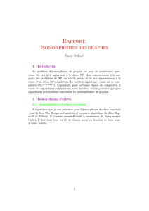 Rapport: Isomorphismes de graphes