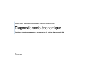 Diagnostic socio-économique - Maison de l`Emploi du Pays de Saint