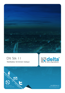 DLT STK 11 | Stabilisateur De Tension Statique
