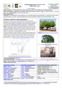 Fiche présentation arbre : Faidherbia albida Noms vernaculaires