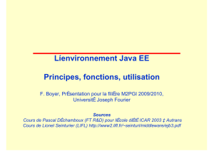 L`environnement Java EE Principes, fonctions, utilisation