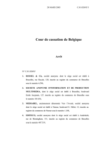 Cour de cassation de Belgique Arrêt