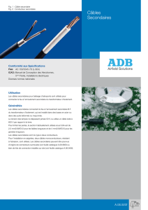 Câbles Secondaires - ADB Airfield Solutions