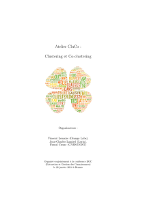 Atelier CluCo : Clustering et Co-clustering