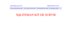 SQLITEMAN KIT DE SURVIE