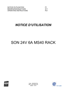 SON 24V 6A MS40 RACK - PASO Sound Systems Products