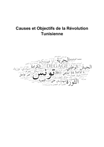 Causes et Objectifs de la Révolution Tunisienne