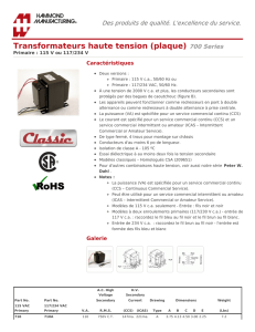 Transformateurs haute tension (plaque) (700 Series)