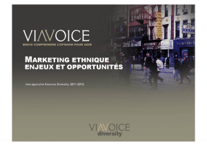 Marketing Ethnique : Enjeux et Opportunités