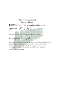 LECON 14 : La morphologie et la syntaxe. La morphologie :
