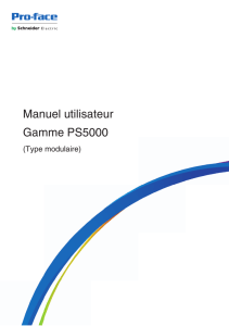 Manuel utilisateur Gamme PS5000 (Type modulaire) -