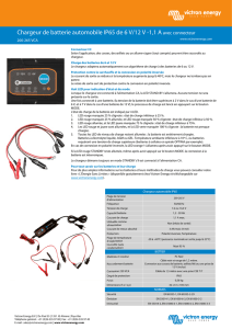 Chargeur de batterie automobile IP65 de 6 V/12 V