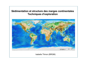 Sédimentation et structure des marges continentales techniques d