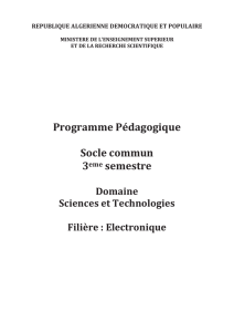 Programmes Détaillés S3-S4 Electronique