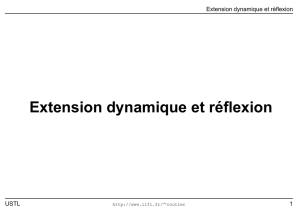 Extension dynamique et r´eflexion