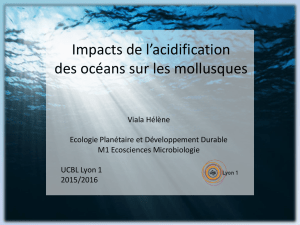 Impacts de l`acidification des océans sur les mollusques