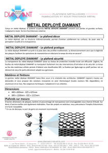 métal deployé diamant