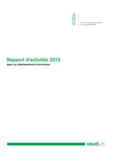 Rapport d`activités 2013