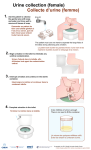 Collecte d`urine - Éducation des patients du CUSM