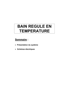 Présentation du bain régulé en température - pedagogique