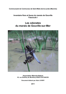 Les odonates du marais de Gouville-sur-Mer - Manche