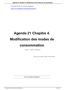 Agenda 21 Chapitre 4. Modification des modes de consommation