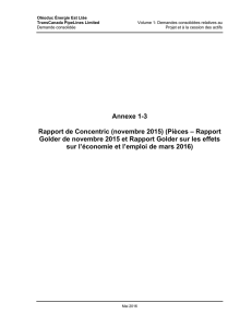 Annexe 1-3 Rapport de Concentric (novembre 2015) (Pièces