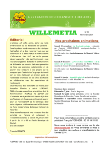 Willemetia 82