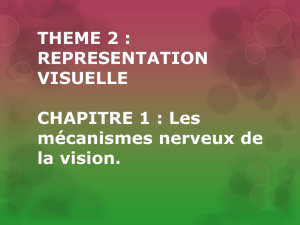 THEME 2 : REPRESENTATION VISUELLE CHAPITRE 1 : Les