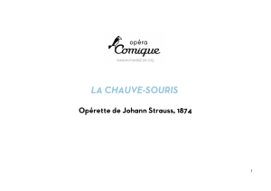Dossier pédagogique de La Chauve-Souris