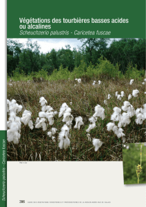 Guide des végétations forestières et préforestières p 396-409