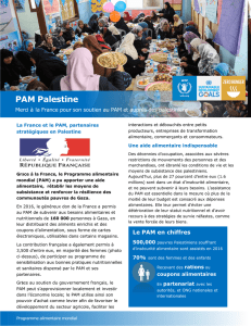 PAM Palestine - Programme alimentaire mondial
